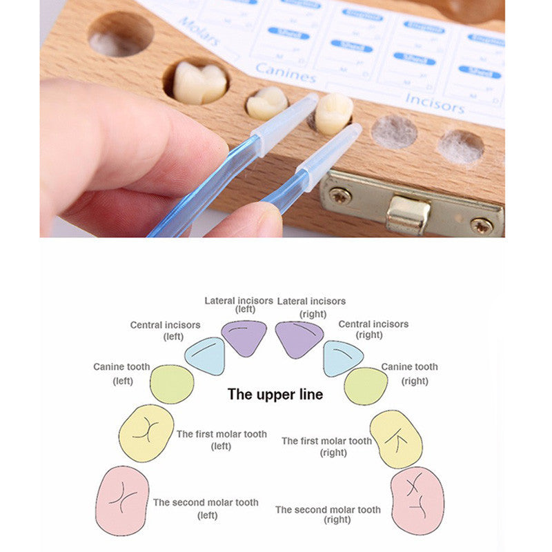 Baby Tooth Box Baby Lanugo Tooth Box