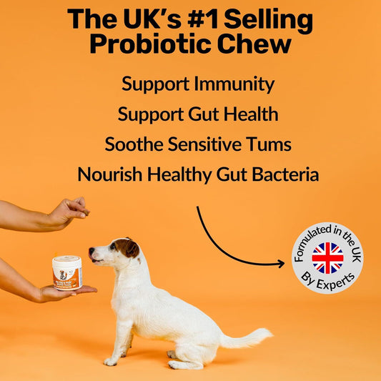 Dog Probiotics Digestive Snacks - Intestinal Health Support
